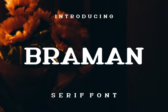 Braman Typeface Review: Elevating Digital Brand Identity