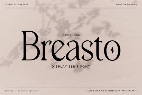 Breasto: A Stylish Serif Font for Professional Brand Identity
