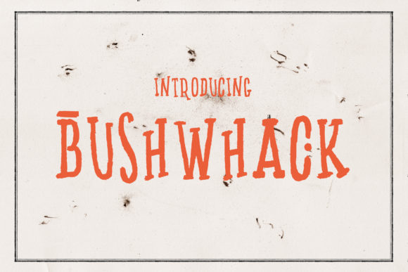 Bushwhack: A Designer’s Honest Review of This Bold Serif