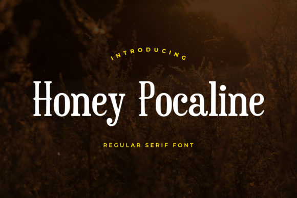 Honey Pocaline: The Serif Font That Brings Clarity to Campaign Visuals
