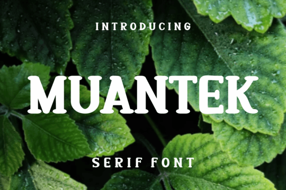 Muantek: The Serif Typeface That Elevates Digital Branding