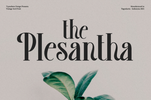 Plesantha: The Serif Typeface That Elevates Campaign Visuals