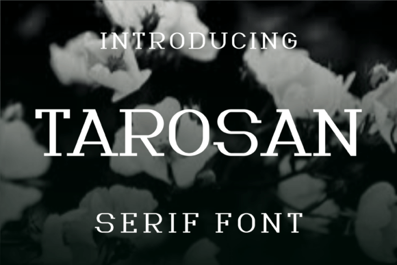 Tarosan: A Refined Serif for Editorial Clarity